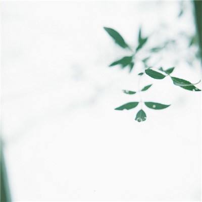 名将萌萌消官方下载